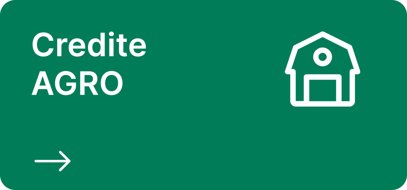 Credite AGRO