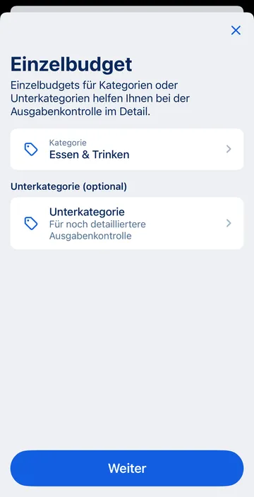 George App Einzelbudget Erstellung