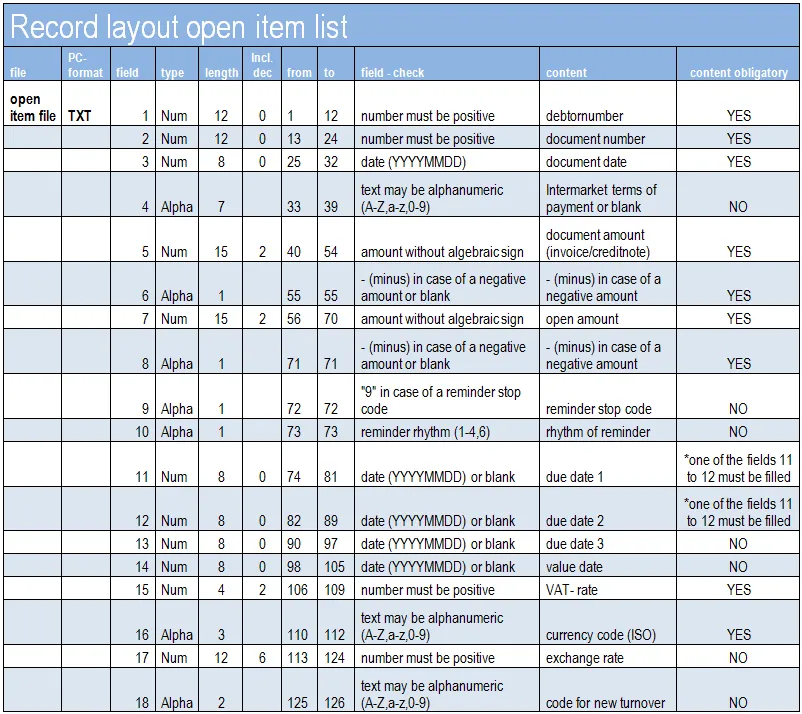 ASCII  Record layout open item list  V2