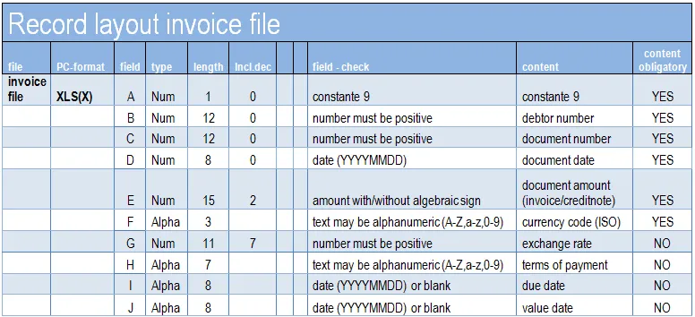 EXCEL Redord layout invoice file