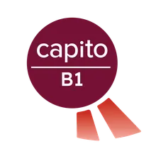 Gütesiegel Leicht Lesen Sprachstufe B1 – capito Methode