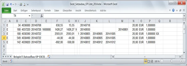 EXCEL Datensatzaufbau Beispiel OP V2