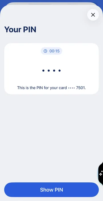 PIN display in George app